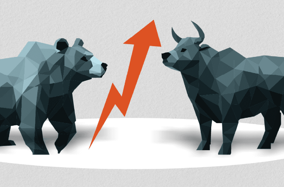 bear-and-bull